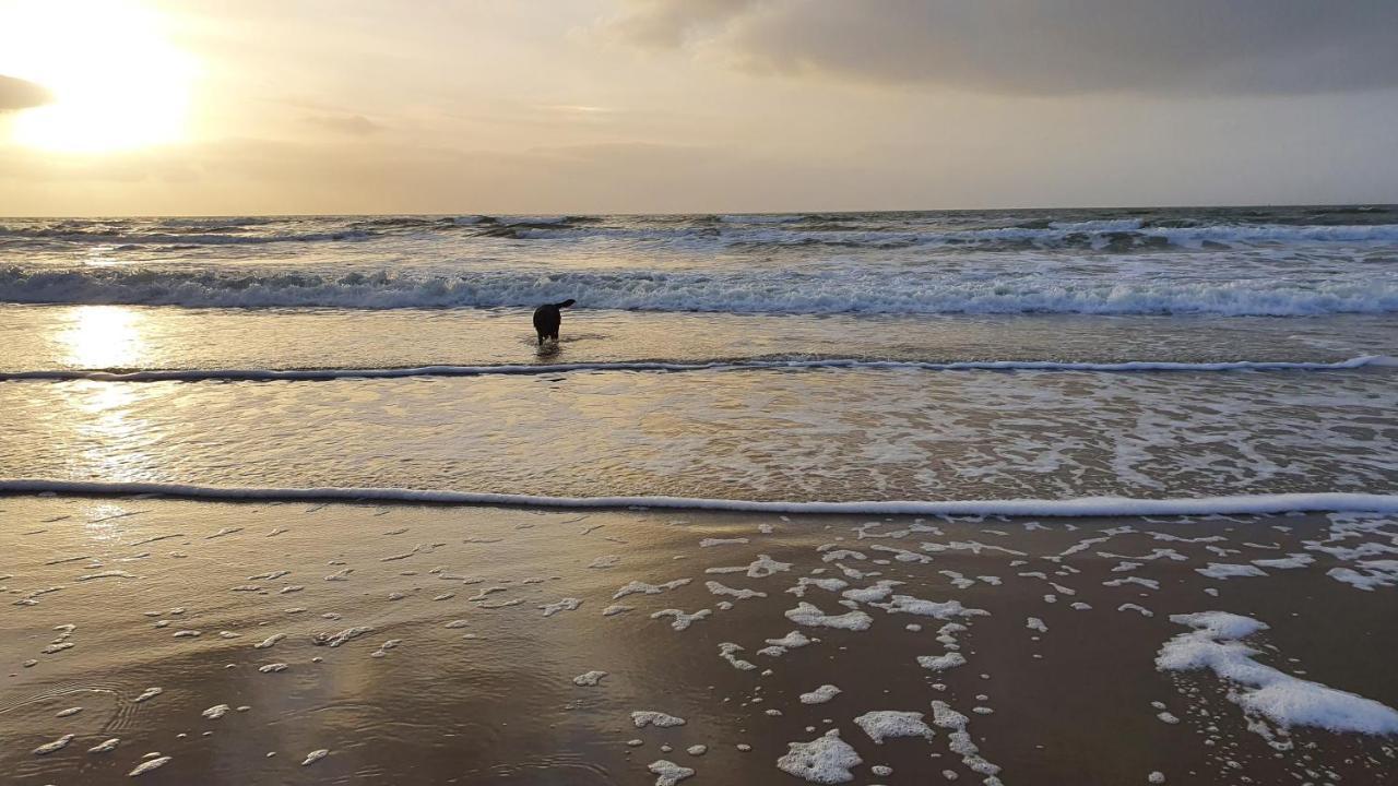 Luxe Zomerwoning Met Omheinde Tuin Voor Hond En Kinderen Dirkshorn Экстерьер фото
